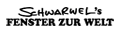 Jeden Tag auf L-IZ.de - Schwarwel's Fenster zur Welt