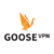 GooseVPN Test und Erfahrung 2022