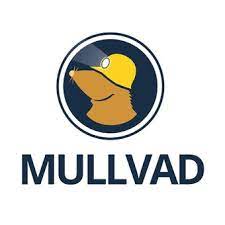Mullvad VPN Test & Erfahrung 2025 – Sind die Bewertungen wahr?