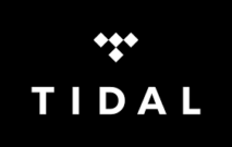 Tidal VPN  2025 Test und Erfahrungen – Stimmt die Kritik?
