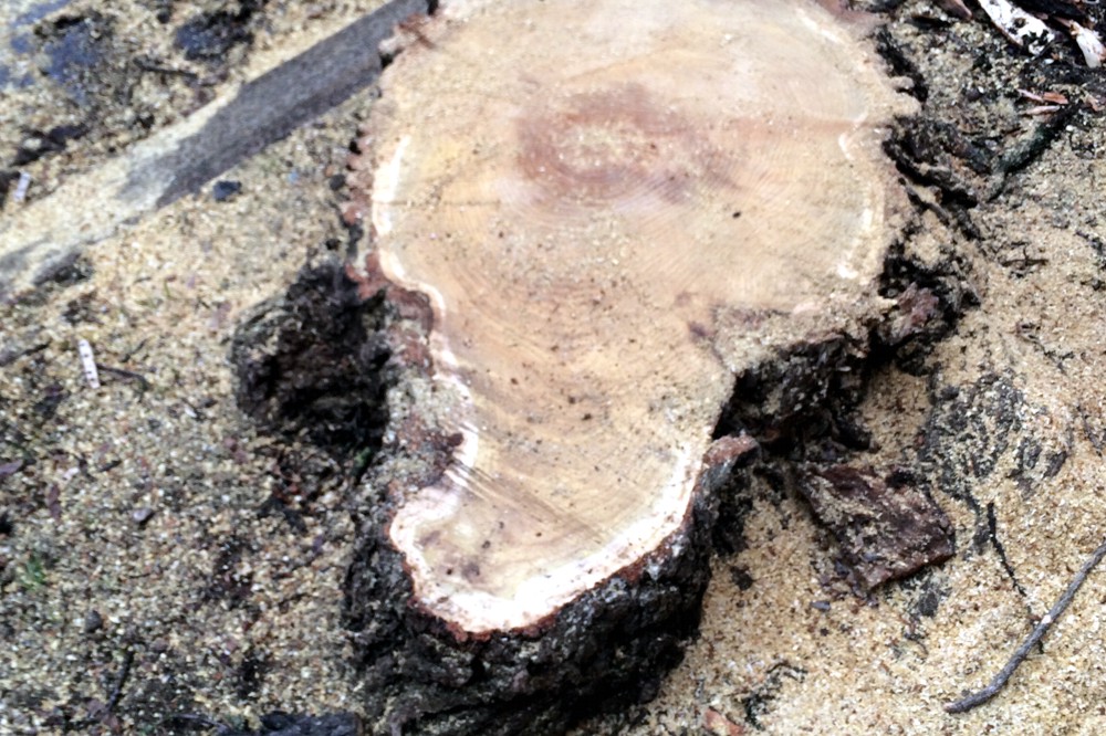 Könneritzstraße. Foto: Jan Hauschildt