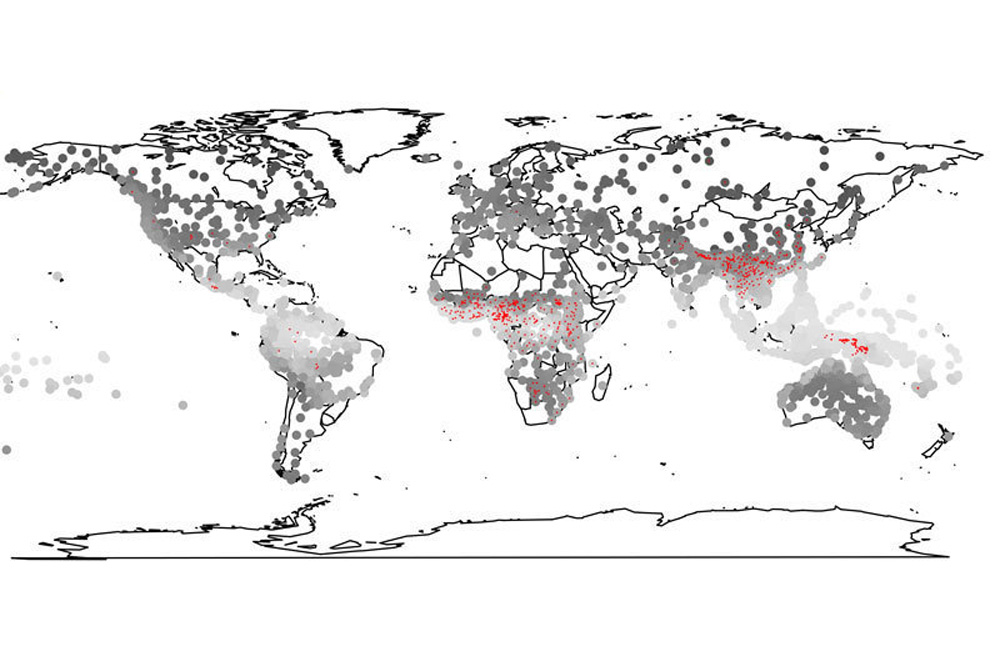 Sprachen in feuchten Gebieten der Erde (helle Kreise) sind häufiger Tonsprachen (rot) als in trockenen Regionen. Foto: MPI f. Psycholinguistik/Roberts