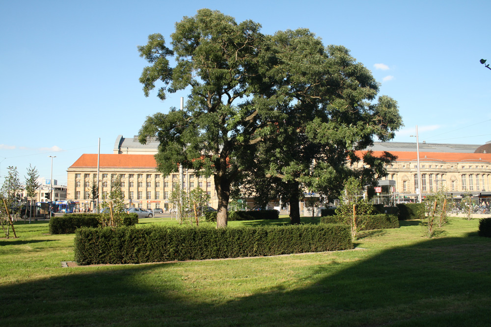 Kleine Grüninsel: Parkanlage an der Richard-Wagner-Straße. Foto: Ralf Julke