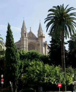 Catedral de la Seu Foto: Sebastian Beyer
