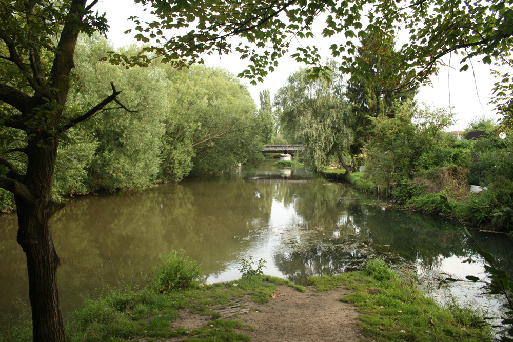 Das Auenland von seiner typischen Seite: Zusammenfluss von Weißer Elster und Parthe. Foto: Ralf Julke