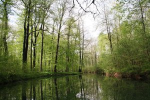 Der Floßgraben im Frühjahr. Foto: Ökolöwe