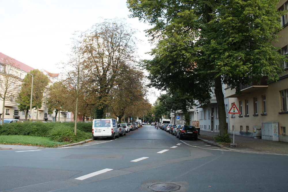 Nicht schutzwürdig: Kastanien zwischen Kommandant-Prendel-Allee und Gletschersteinstraße. Foto: Ralf Julke