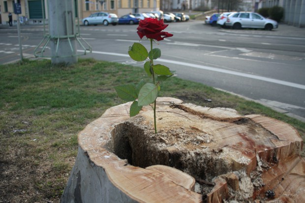 Eine Geste des Abschieds. Foto: Alexander Böhm