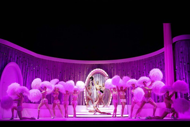 Les Cagelles & Ballett der Musikalischen Komödie. Foto: Ida Zenna