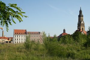 Dringend benötigte Fläche im Leipziger Westen: das Jahrtausendfeld. Foto: Ralf Julke