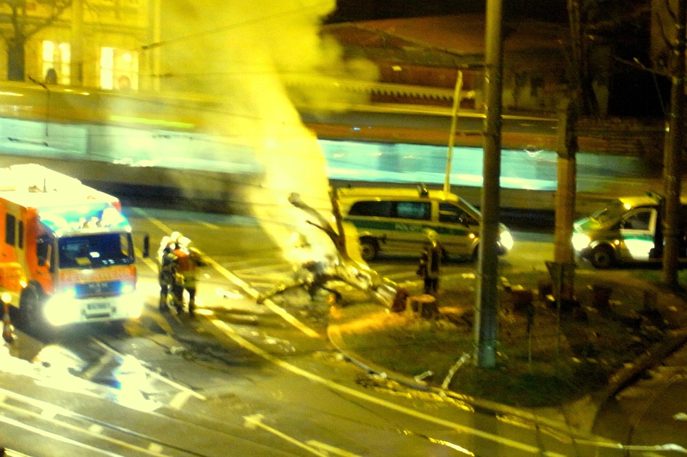 Die Platane am Connewitzer Kreuz ist abgebrannt. Nun soll eine neue her. Foto: Privat