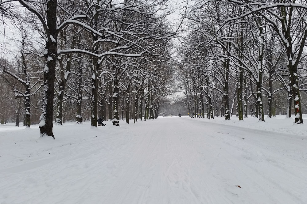 Alles weiß - der Tag ist gerettet! Foto: L-IZ.de