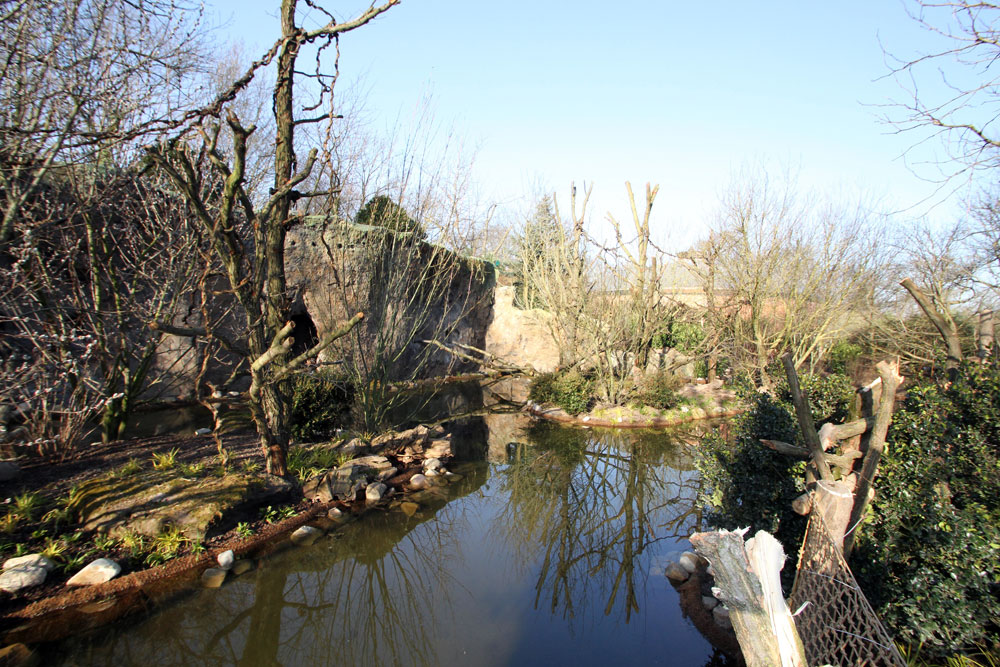 Affeninseln im Gründer-Garten © Zoo Leipzig
