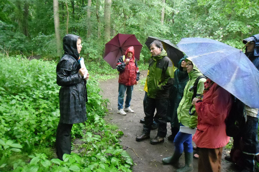 Mit der App durch den Auwald. Foto: NABU