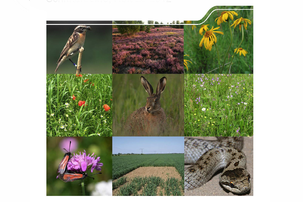 Cover der Broschüre "Alternative Förderansätze für natürliche biologische Vielfalt". Screenshot: L-IZ