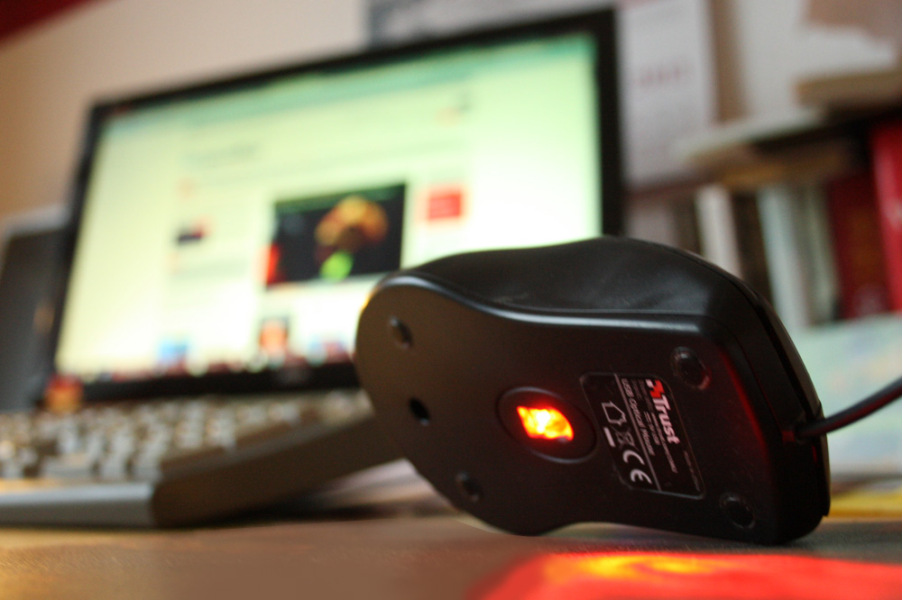 Experimentierfeld Homeoffice. Foto: Ralf Julke