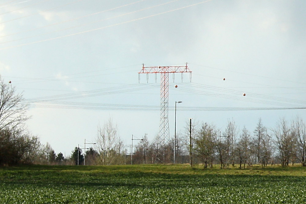 Die Freileitung westlich des BMW-Werks soll jetzt unter die Erde. Foto: Ralf Julke