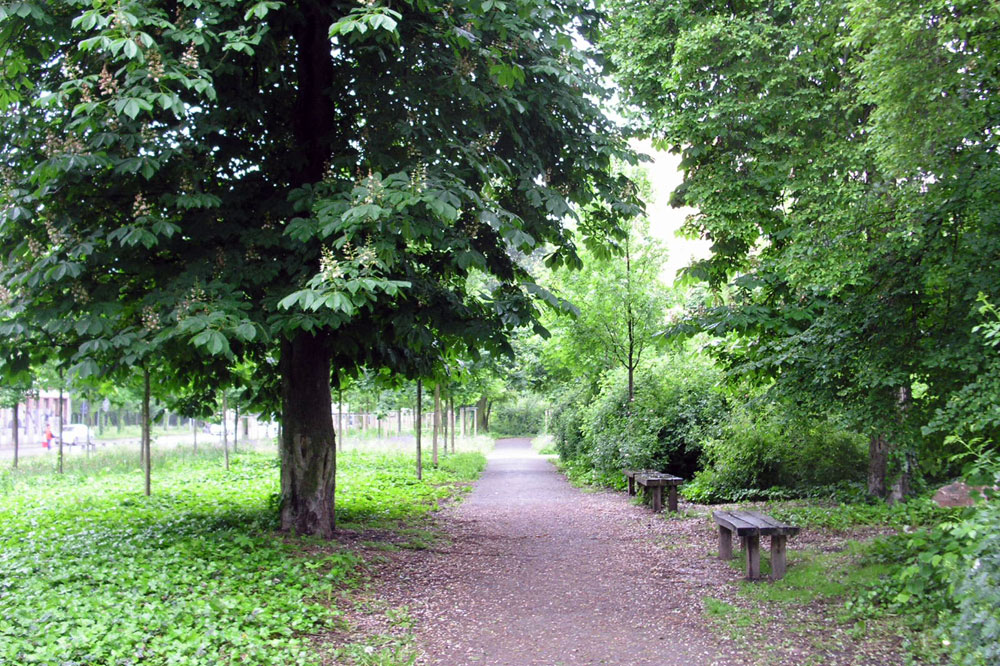 Spazierende Gedanken im grünen Tale. Foto: L-IZ.de
