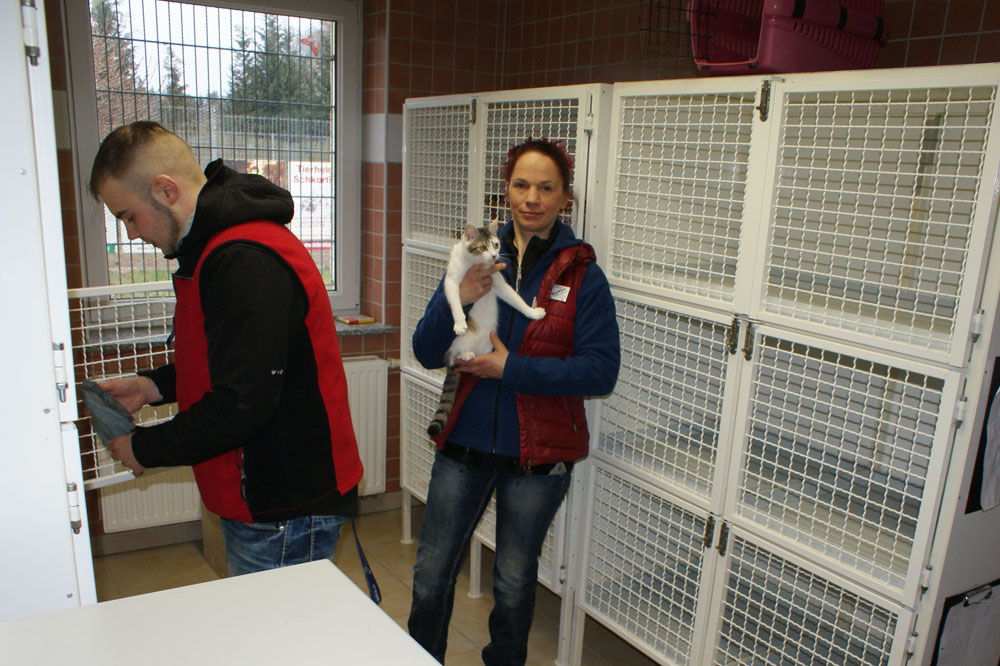 Bis zu zwanzig Katzen haben in der Krankenstation Platz. Foto: Stadt Grimma