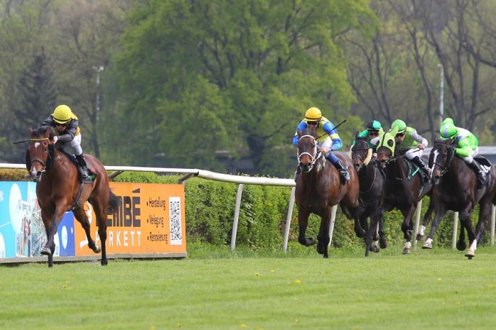Pferd Freya (#7) mit Jockey J. Bojko gewinnt das 4. Rennen mit großem Vorsprung. Foto: Jan Kaefer