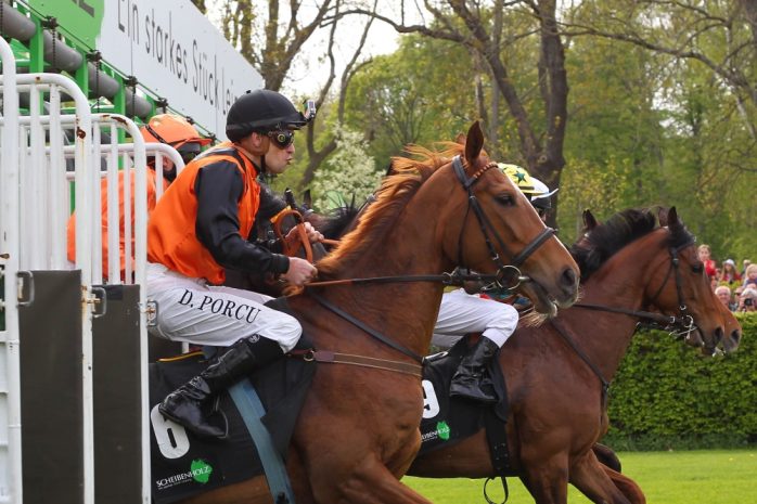 Start frei für Miss Talia (vorn) und ihre Konkurrenz zum 5. Rennen. Foto: Jan Kaefer