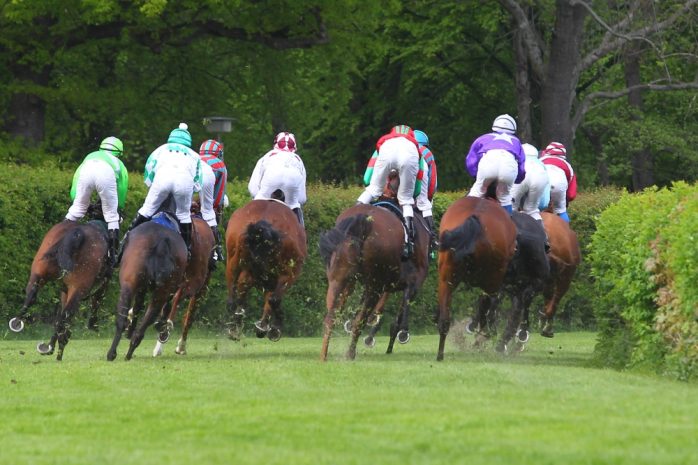 Da sieht man nur noch die Hufe. Foto: Jan Kaefer