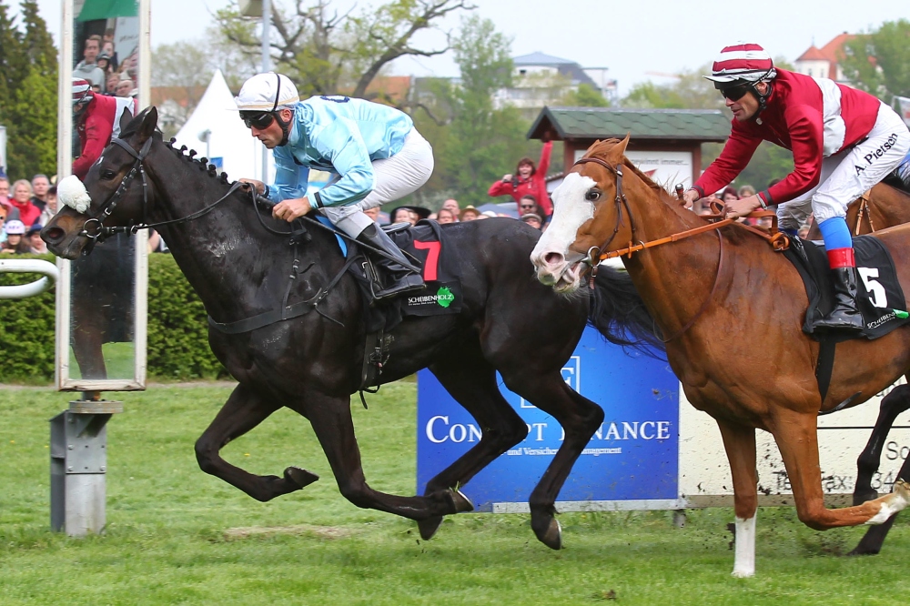 Mr Beauregard (#7) aus den USA siegte im Hauptrennen des Tages vor Burschentanz. Foto: Jan Kaefer