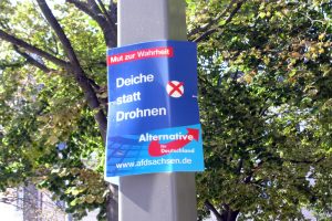 Auch im Mai hingen auf einmal AfD-Plakate in Leipzig - auch da war keine Wahlkampfzeit. Foto: L-IZ.de
