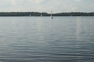 Segelboote auf dem Cospudener See. Foto: Ralf Julke