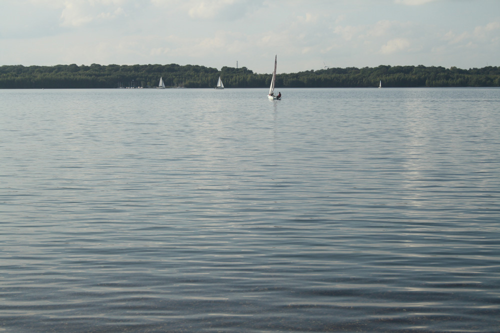 Segelboote auf dem Cospudener See. Foto: Ralf Julke
