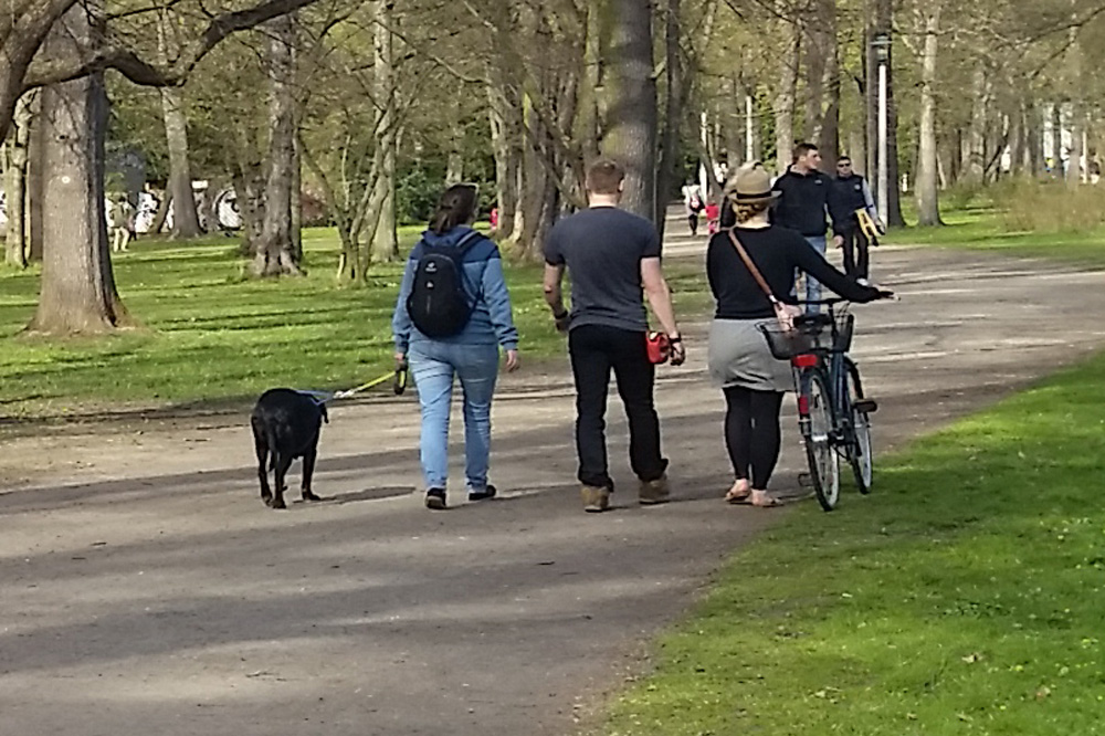 Spaziergang mit Hund im Clara-Zetkin-Park. Foto: Marko Hofmann