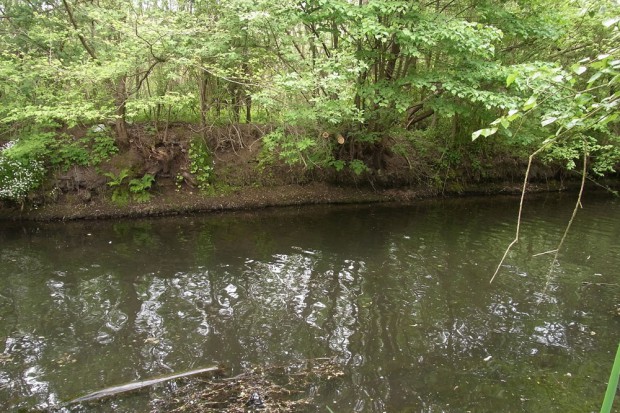 Für RANA-Boote schon. Foto: SKV