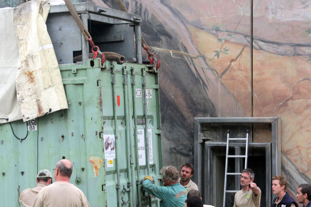 Voi Nam rüsselt bei seiner Ankunft in Leipzig aus dem Container Foto: Zoo Leipzig