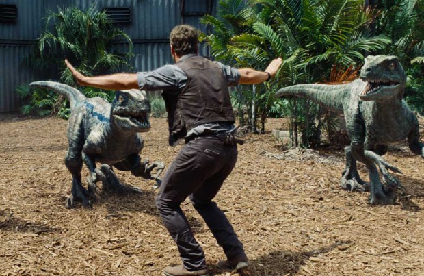 Chris Pratt zähmt Dinos. Foto: Universal