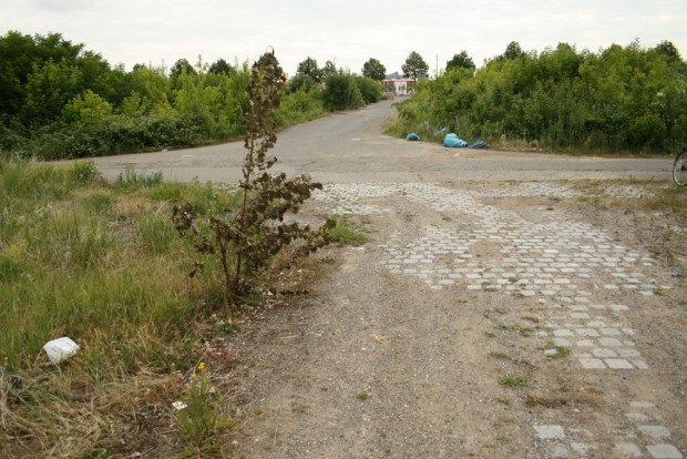 Dieses Prachtstück von Straße im Gelände sollte mal die Baumwollgasse werden. Foto: Ralf Julke