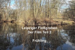 Der zweite Floßgraben-Film. Foto: Dr. Matthias Ladusch