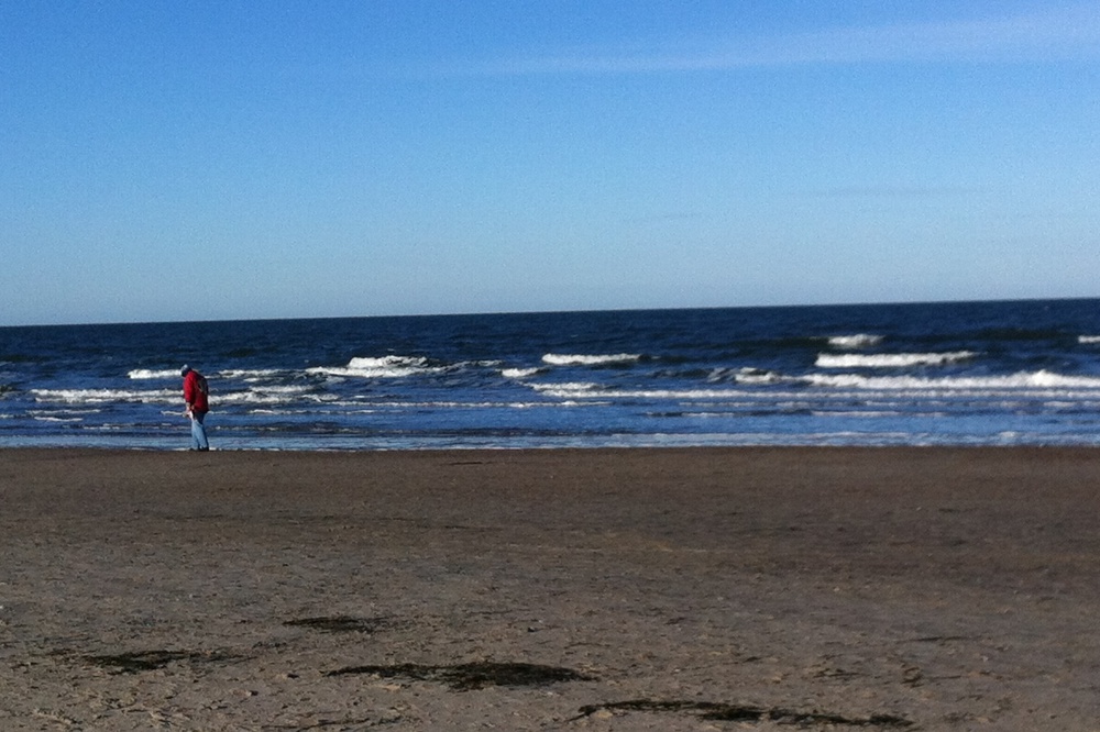 Bitte Arbeitsfähigkeit wiederherstellen! Foto: L-IZ.de