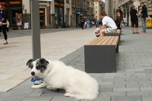 Haben gleich Freunde gefunden: Bänke am Eingang zur Petersstraße. Foto: Ralf Julke