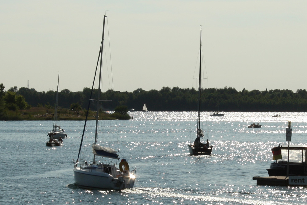 Segelboote auf dem Cospudener See. Foto: Ralf Julke