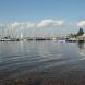 Noch ist das Wasser sauber: Segelboote am Pier auf dem Cospudener See. Foto: Ralf Julke