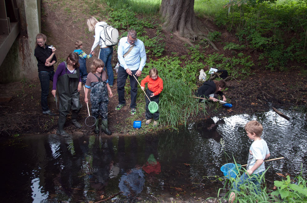 Wasserexkursion Foto: Ludo Van den Bogaert