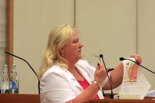 Carola Lange (Linke). Foto: L-IZ.de