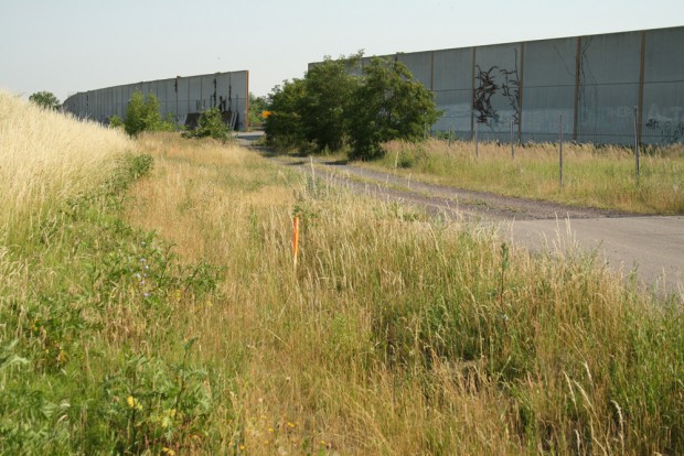 Das Ende der alten Cröbernschen Straße kurz vor der Lücke in der Schallschutzwand an der B2 / B95. Foto: Ralf Julke