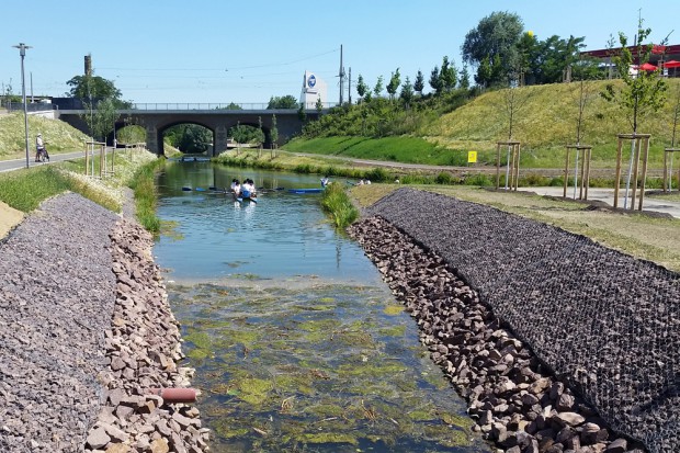 Paradies für Wasserpflanzen: der kleine Wurmfortsatz des neuen Kanalstück mit Blick zur Luisenbrücke. Foto: Marko Hofmann