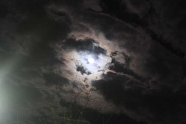 Der Mond ist aufgegangen ... Foto: Ernst-Ulrich Kneitschel