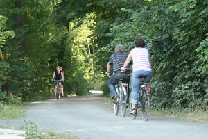 Radfahrer auf einem Weg im südlichen Auenwald. Foto: Ralf Julke