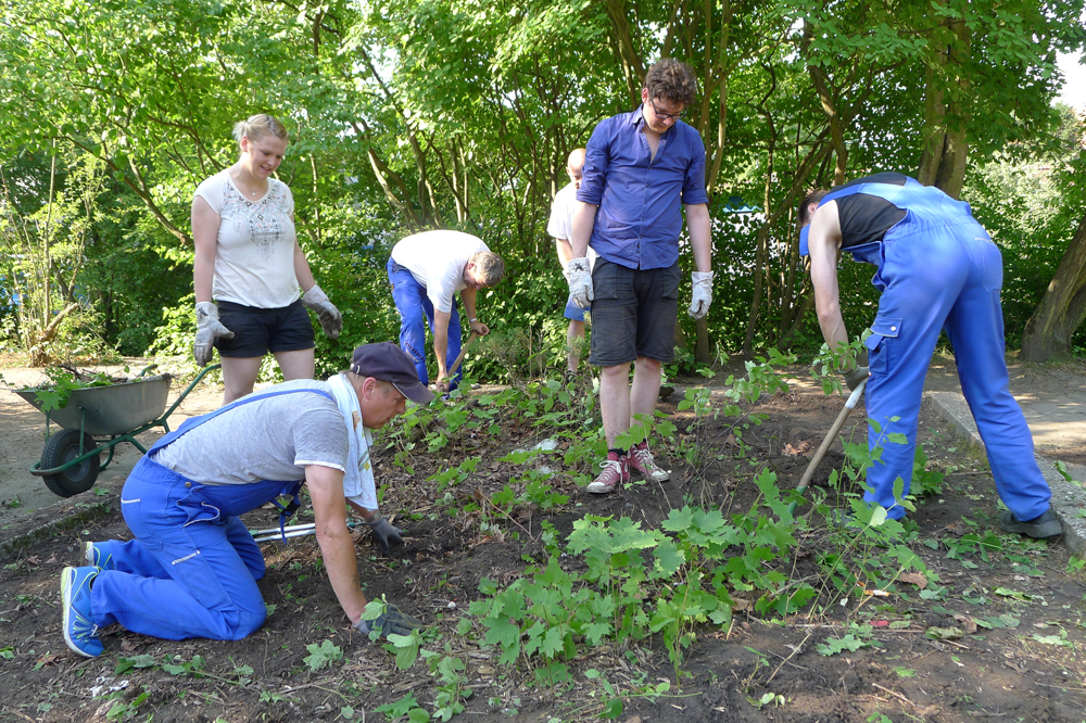 Dem Unkraut im Hof wurde der Kampf angesagt. Foto: VLW