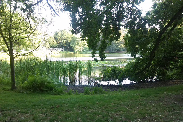 Teich im Arthur-Bretschneider-Park. Foto: AHA