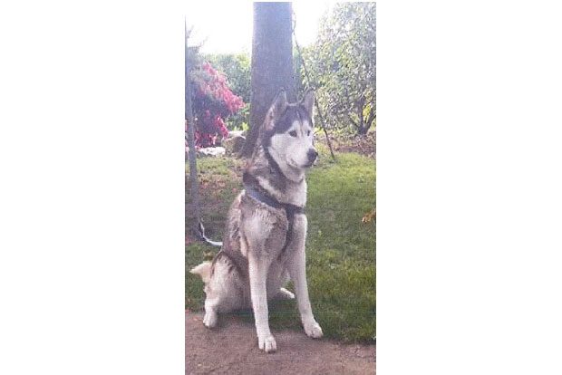 Wer weiß etwas über den Verbleib von Frieda? Foto: PD Leipzig