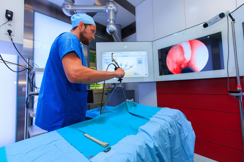 Intelligenter OP: ICCAS-Ingenieur Richard Bieck demonstriert anhand eines 3D-Modells HNO-Chirurgie der Zukunft. Foto: Swen Reichhold